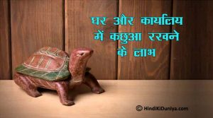 Benefits of Keeping Turtle Idol at Home and Office