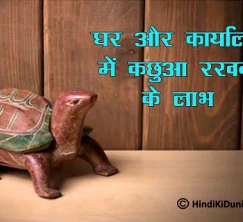 Benefits of Keeping Turtle Idol at Home and Office