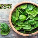 How Spinach is the World’s Healthiest Food